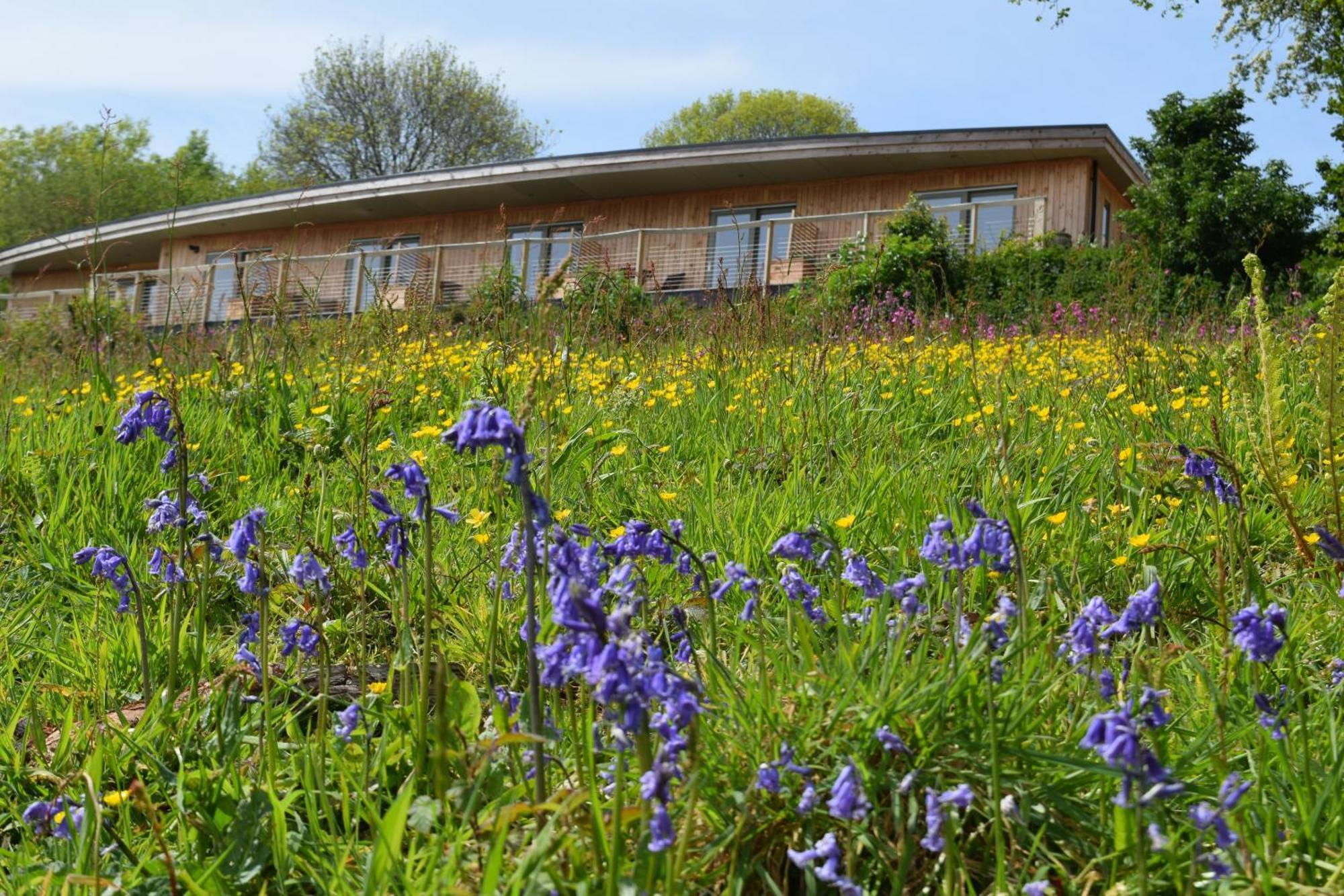 The Sanctuary Cornwall Golant Екстер'єр фото