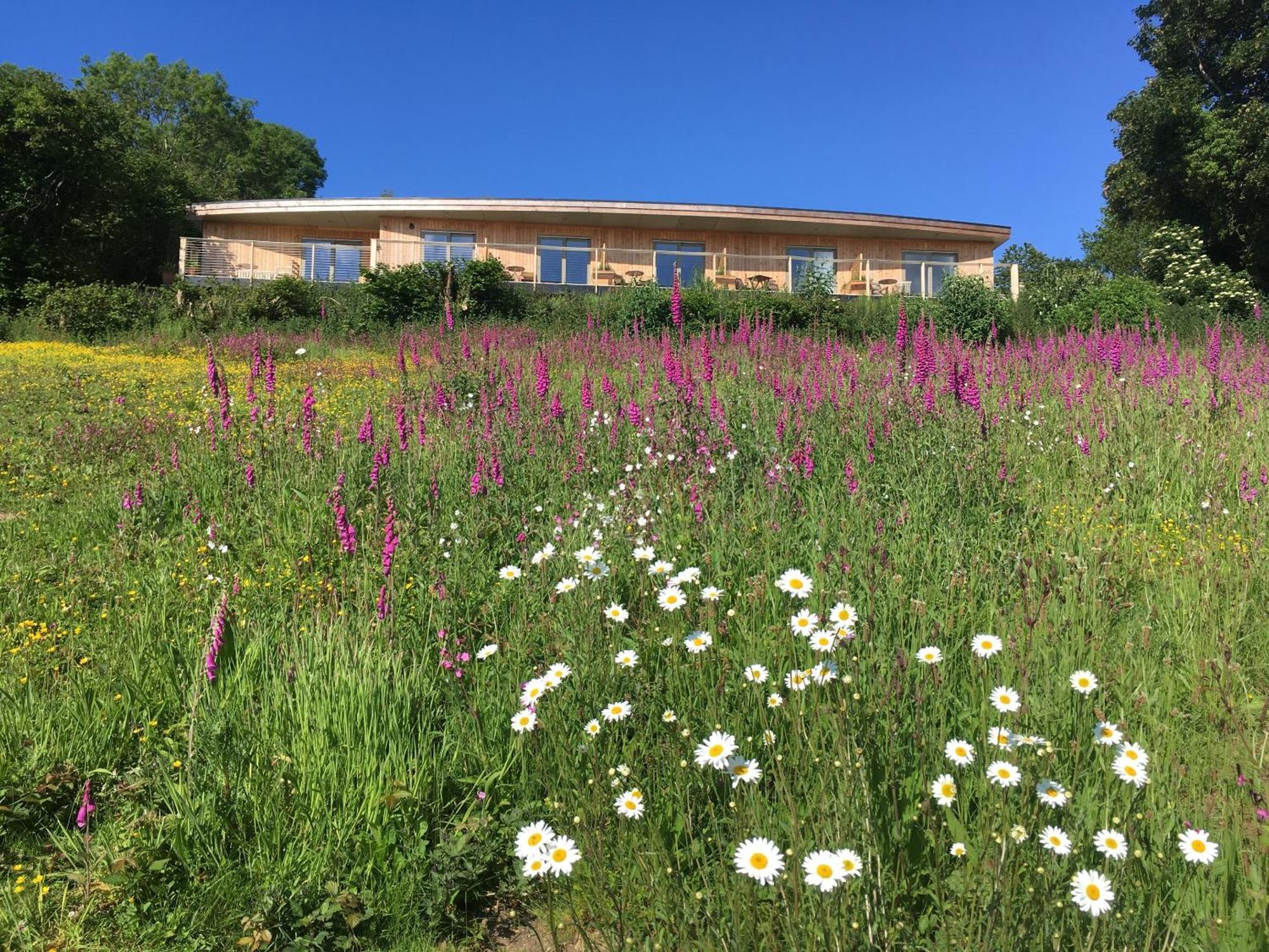 The Sanctuary Cornwall Golant Екстер'єр фото
